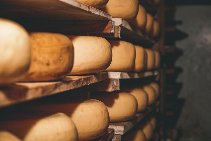 Fabrică de lactate și brânzeturi — Leonard Ciubotaru